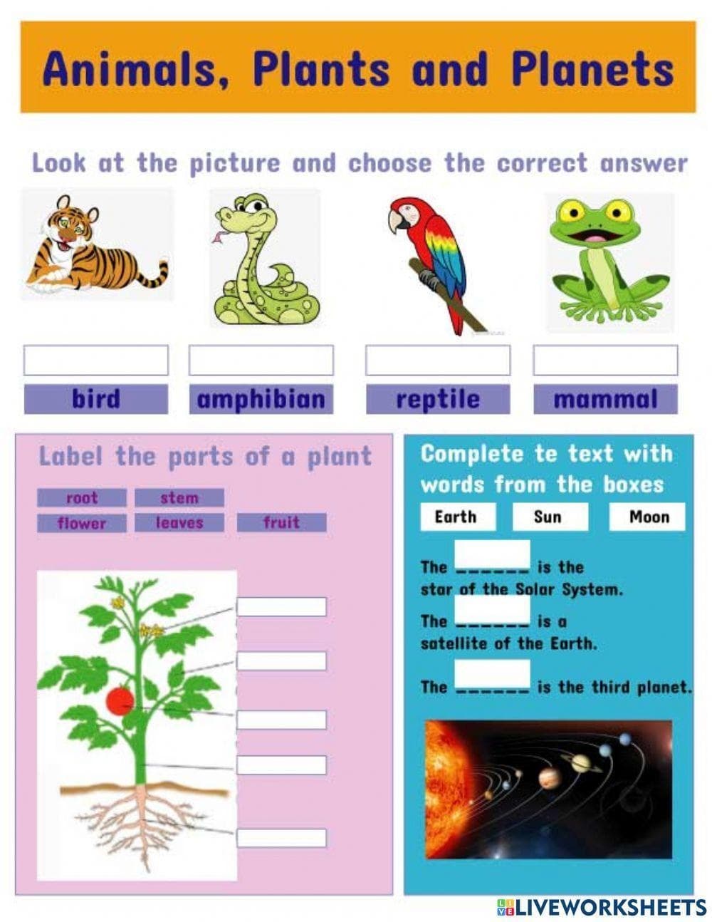 GRADE III